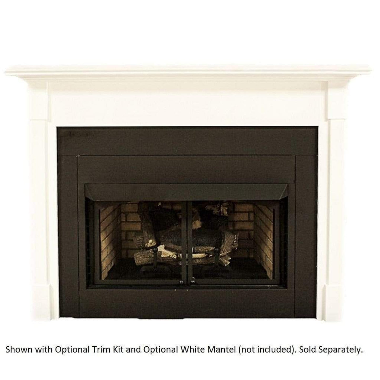 Buck Stove Builder Series Model ZCBBXL 42" Vent Free Gas Firebox With EmberVision 100 Liquid Propane Oak Log