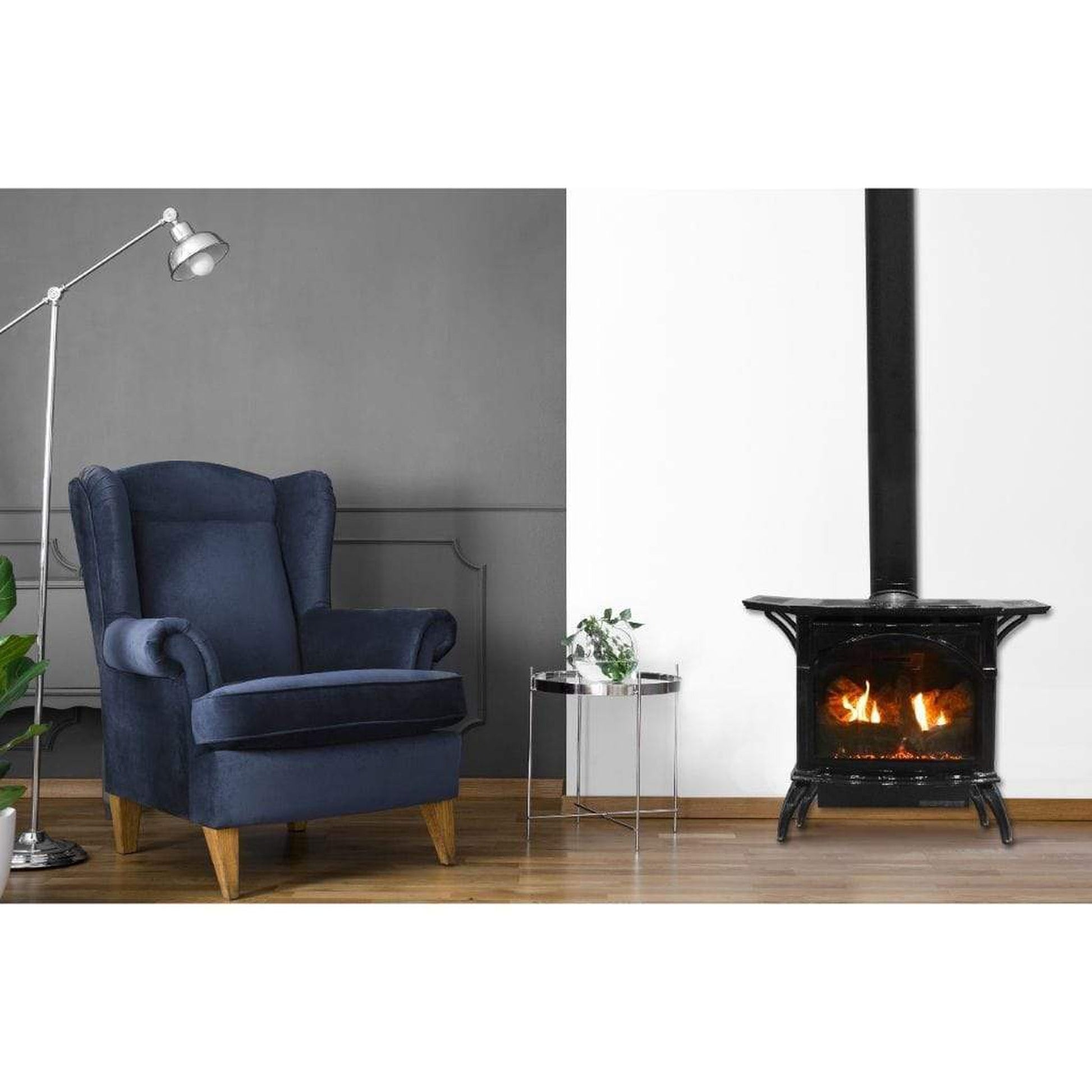 Empire Spirit 22" Porcelain Black Finish Millivolt Control With On/Off Switch, Natural Gas Direct Vent Cast Iron Small Stove