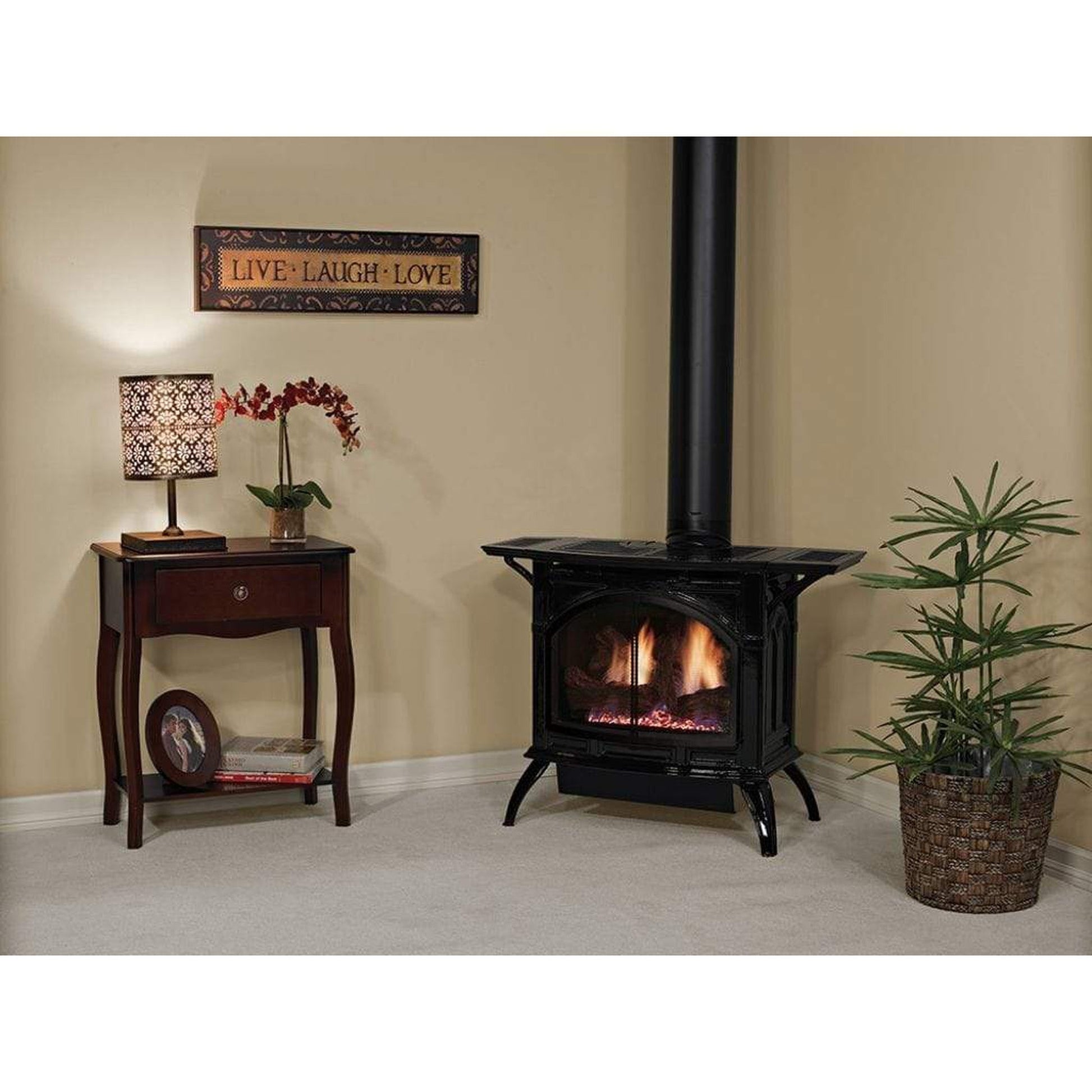 Empire Spirit 28" Porcelain Black Finish Millivolt Control With On/Off Switch, Natural Gas Direct Vent Cast Iron Medium Stove