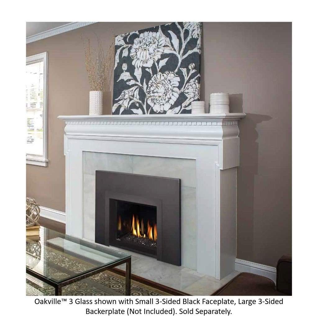 Napoleon 29" Oakville 3 Glass Direct Vent Gas Fireplace Insert