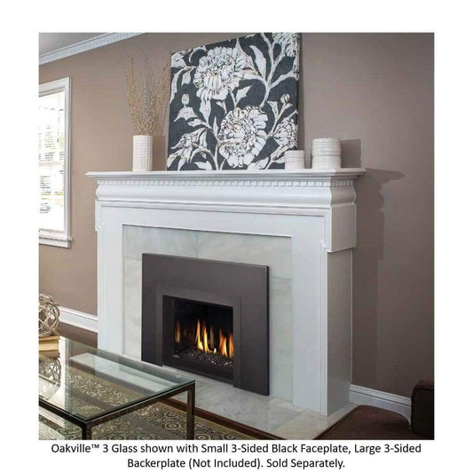 Napoleon 29" Oakville 3 Glass Direct Vent Gas Fireplace Insert
