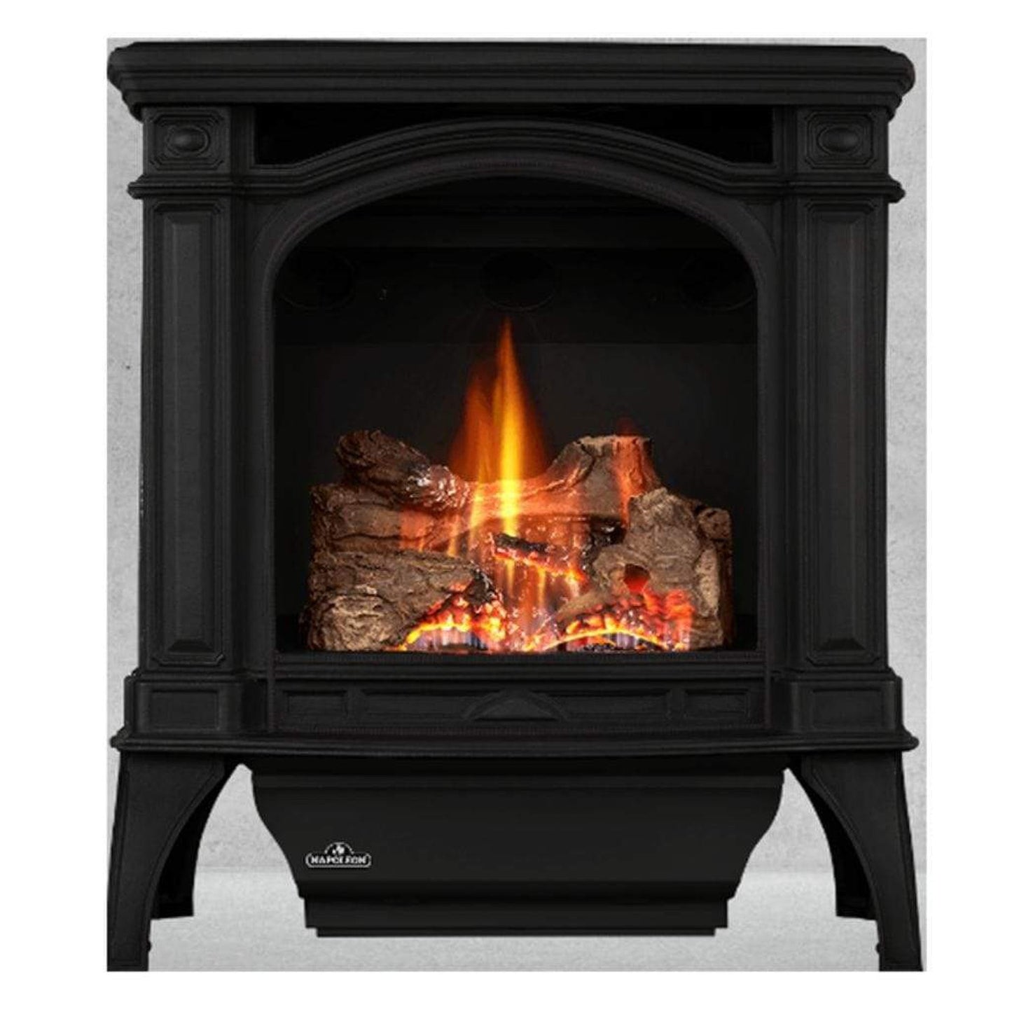 Napoleon Bayfield 24" Metallic Black Direct Vent Cast Iron Gas Stove