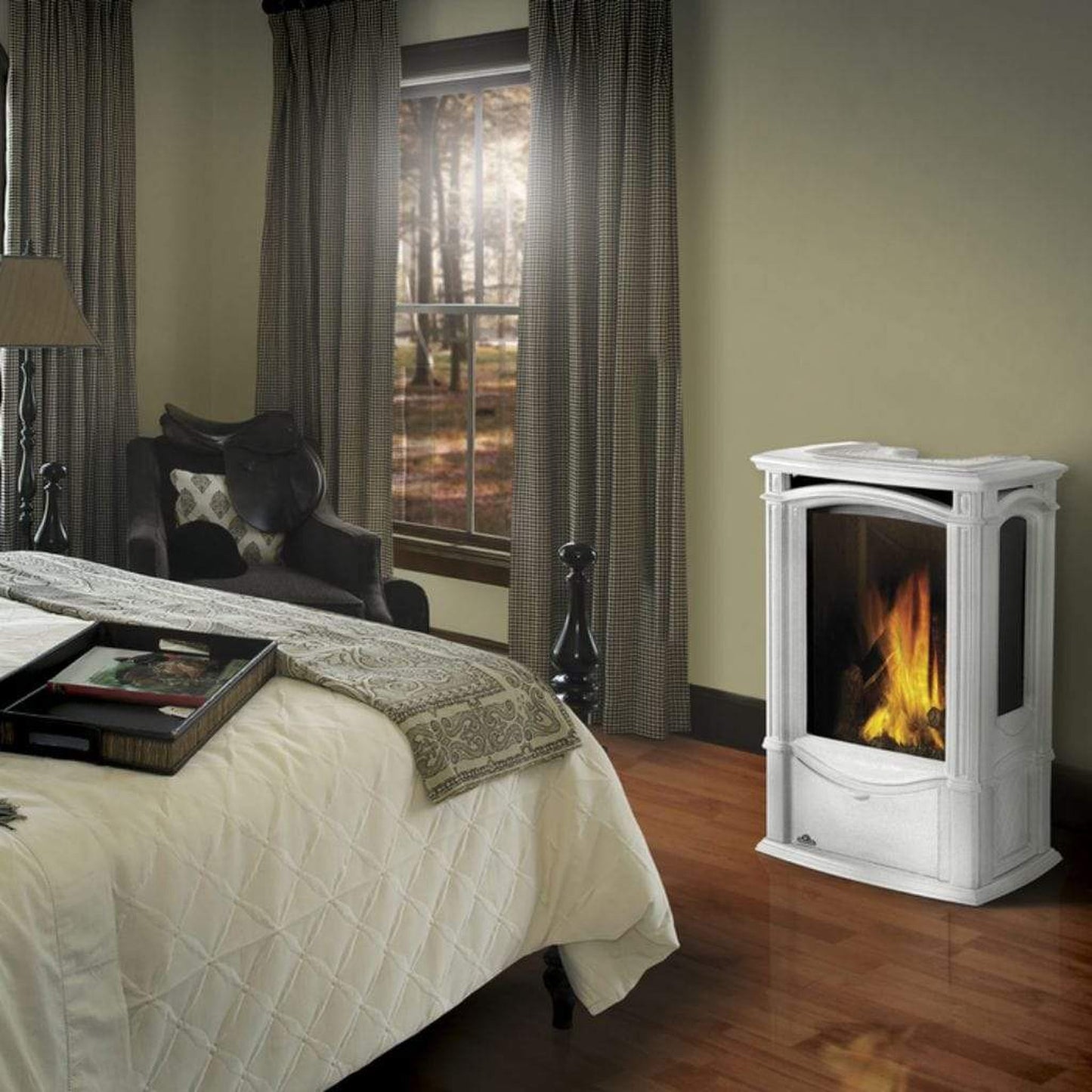 Napoleon Castlemore 24" Metallic Black Direct Vent Cast Iron Gas Stove