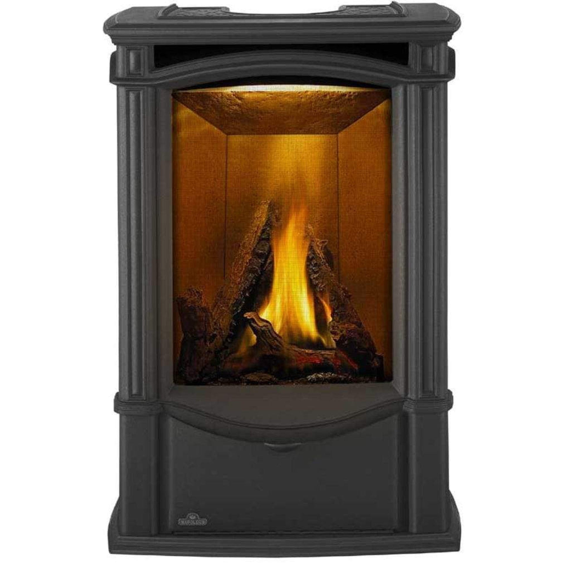 Napoleon Castlemore 24" Metallic Black Direct Vent Cast Iron Gas Stove