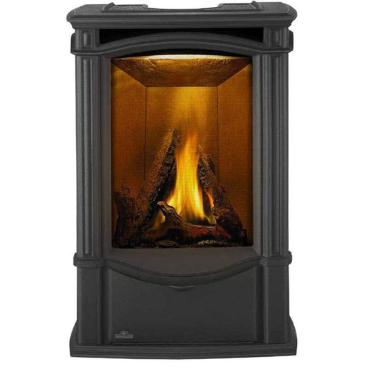 Napoleon Castlemore 24" Metallic Black Direct Vent Cast Iron Gas Stove