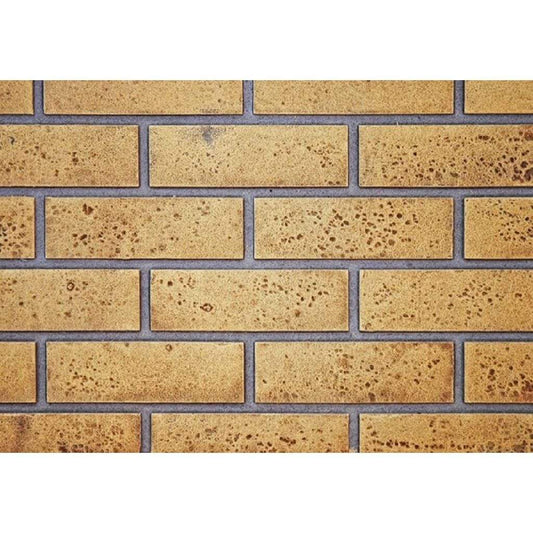 Napoleon Decorative Panels for Roxbury / Inspiration Fireplace Inserts