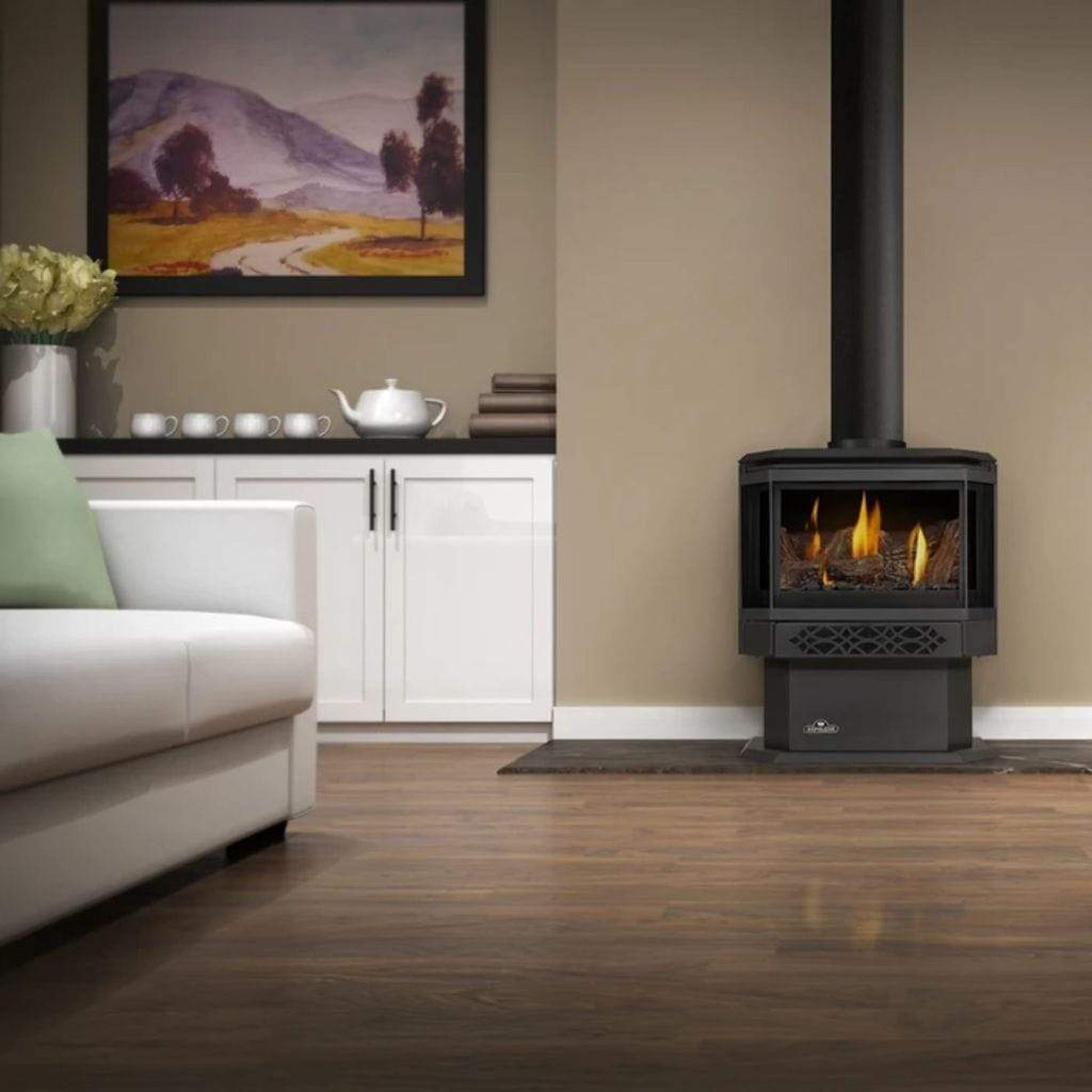 Napoleon Haliburton 23" Black Direct Vent Gas Stove With Electronic Ignition