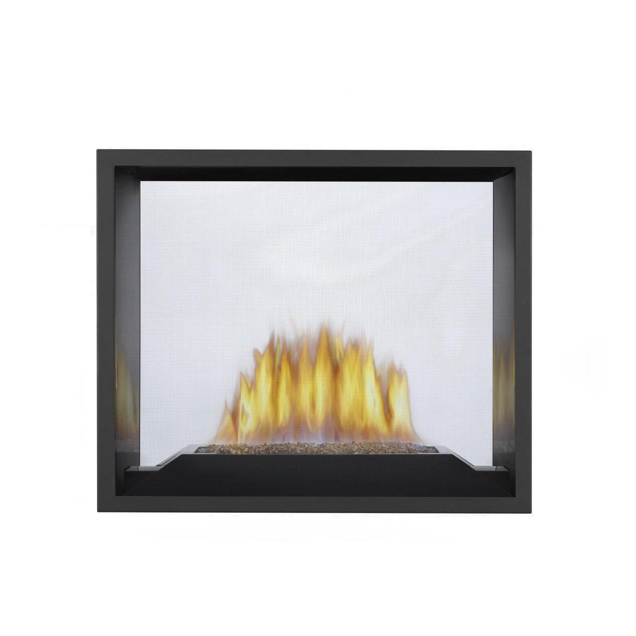 Napoleon High Definition HD81 54" Electronic Ignition, Natural Gas Direct Vent See Through Fireplace