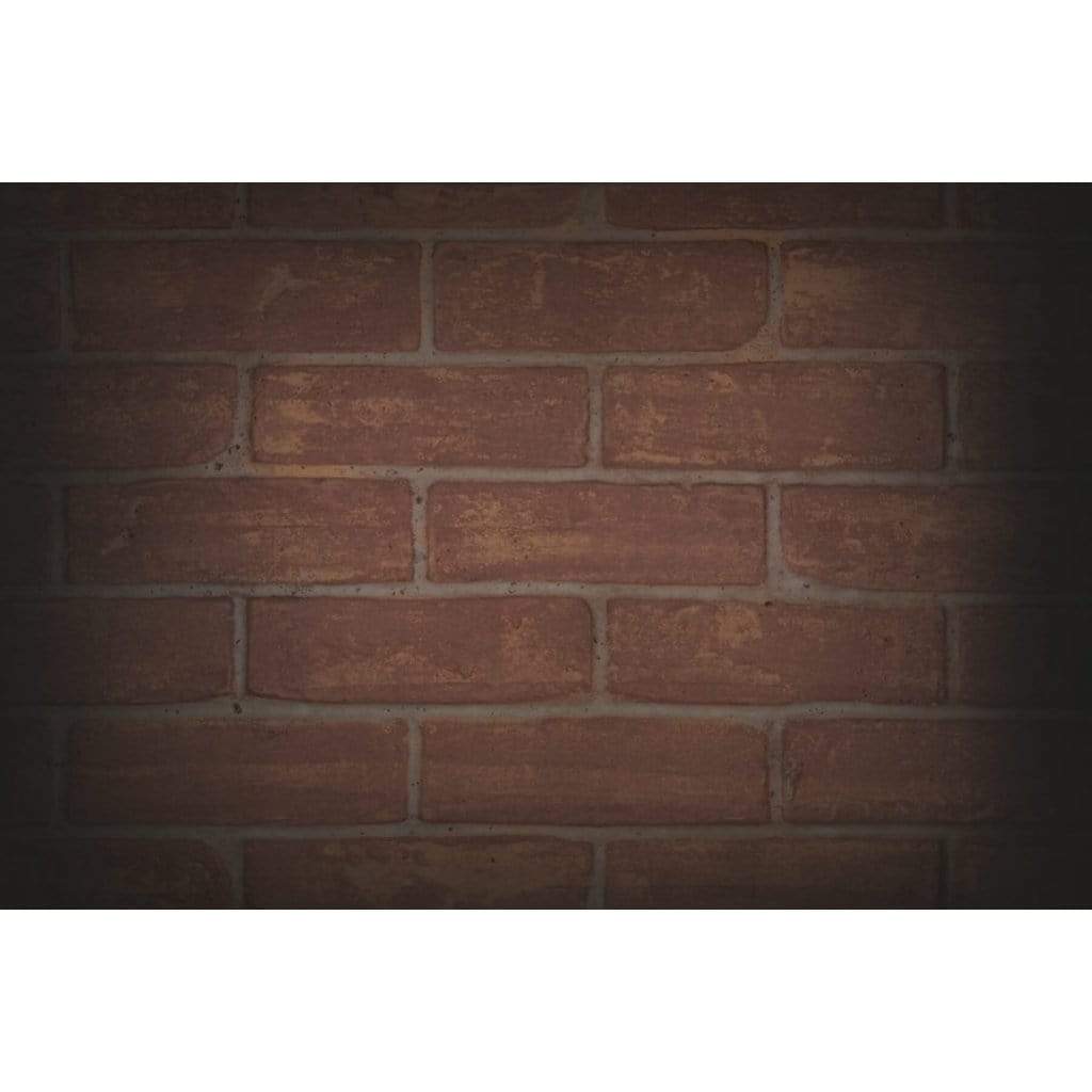 Napoleon Riverside 42 Clean Face Outdoor Gas Fireplace