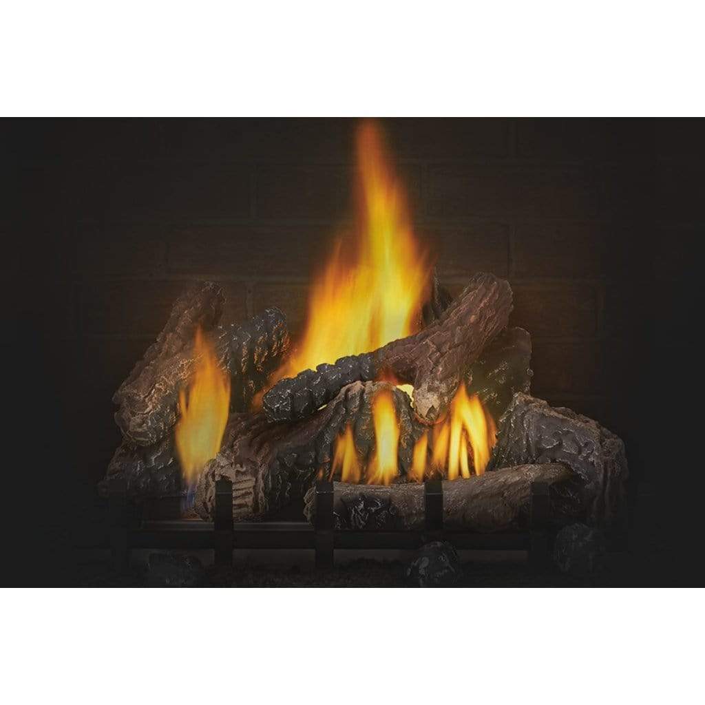 Napoleon Riverside 42 Clean Face Outdoor Gas Fireplace
