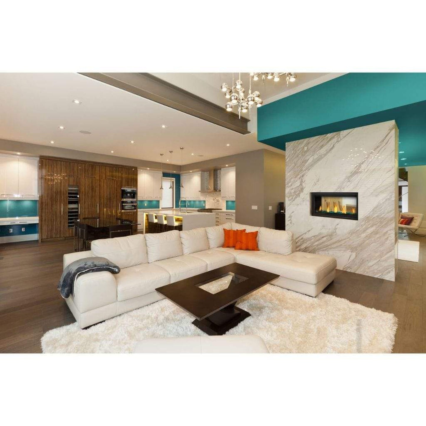 Napoleon Vector 38" See Through Direct Vent Natural Gas Linear Fireplace