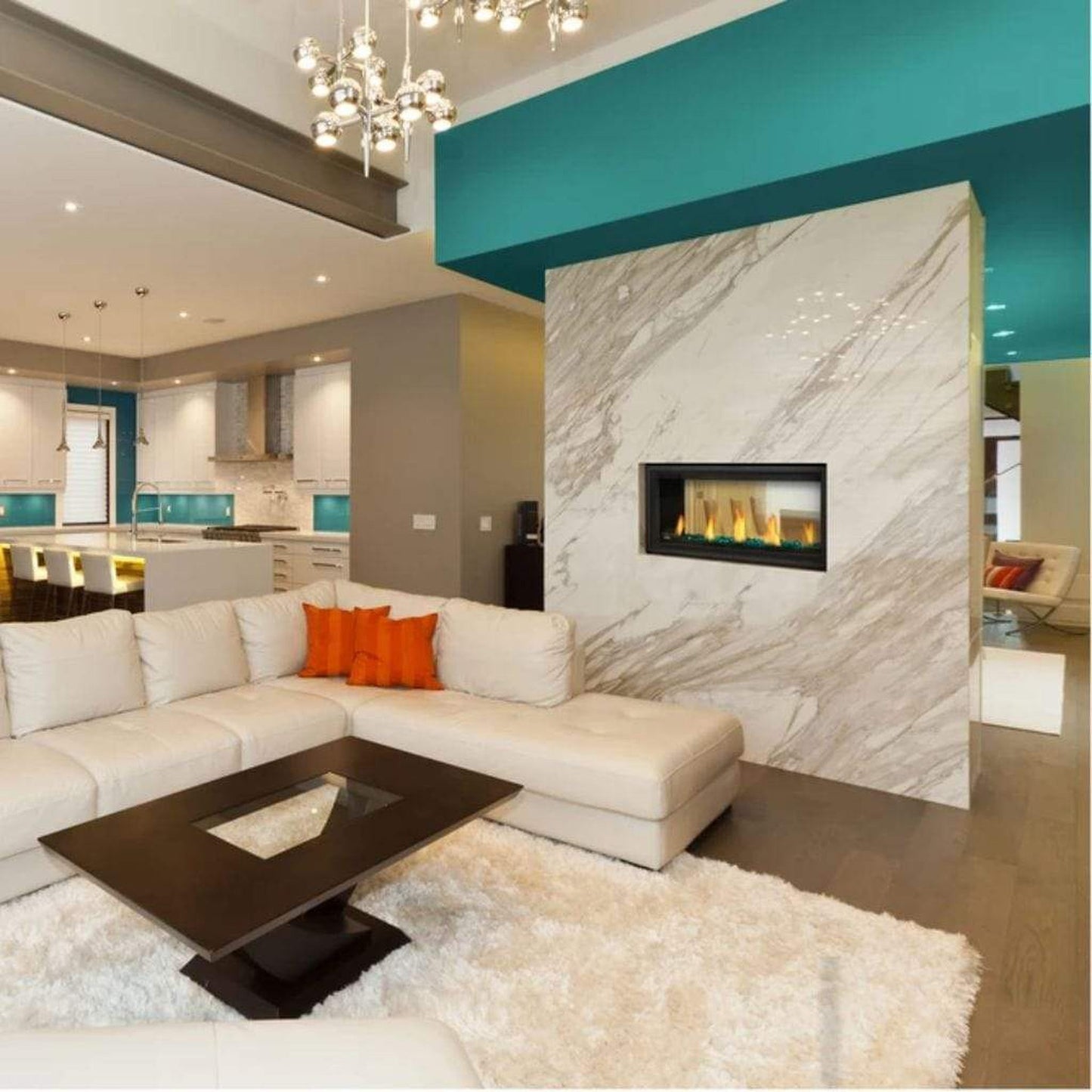 Napoleon Vector 38" See Through Direct Vent Natural Gas Linear Fireplace