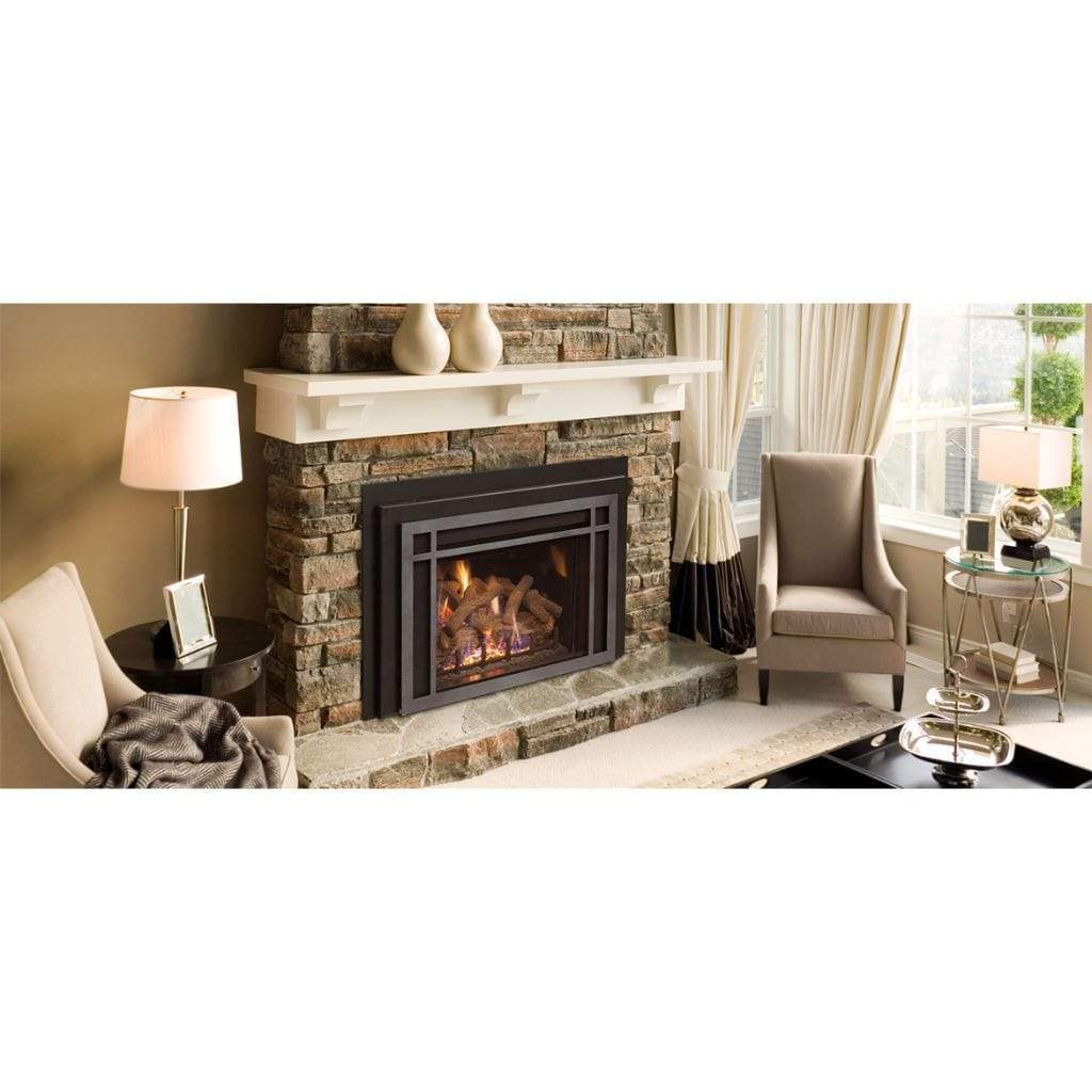 Real Fyre DVI-30I-11-33 iSeries Direct Vent Gas Inserts (IPI) Traditional Style