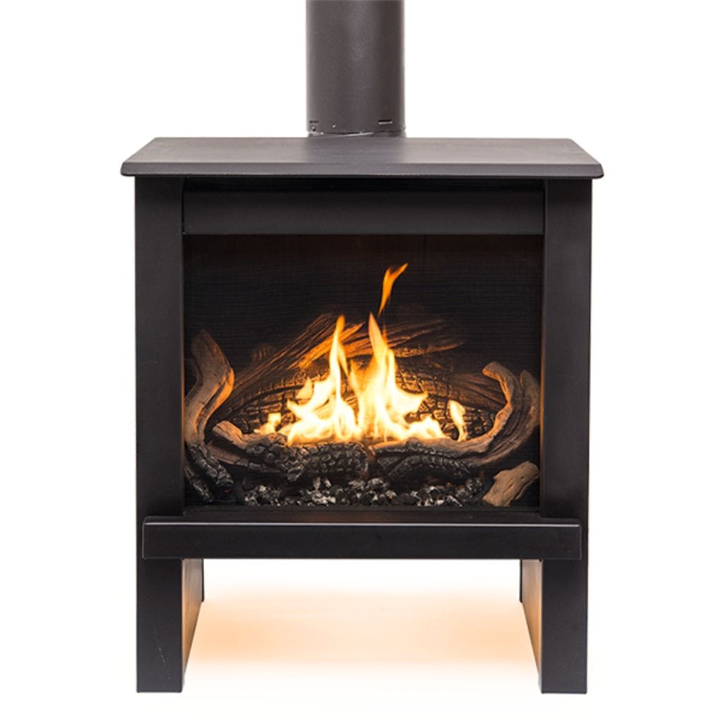 True North TN24 25" Black Direct Vent Free Standing Gas Stove