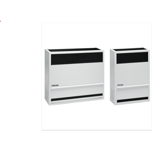 Williams Furnace 22,000 BTU Direct-Vent Gravity Furnace