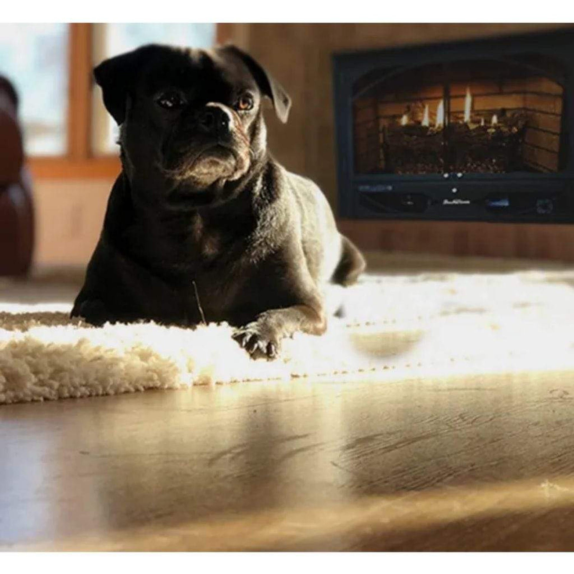 Buck Stove Model 384 32" W x 24" H Vent Free Natural Gas Stove