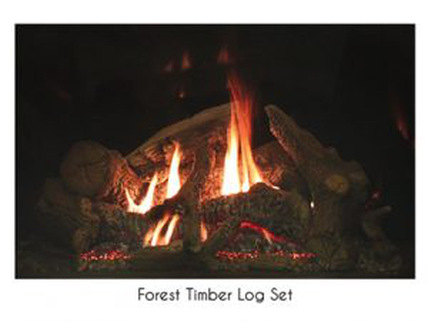 Empire Forest Timber Fiber Log Set for Rushmore DVCT50 Direct Vent Fireplace