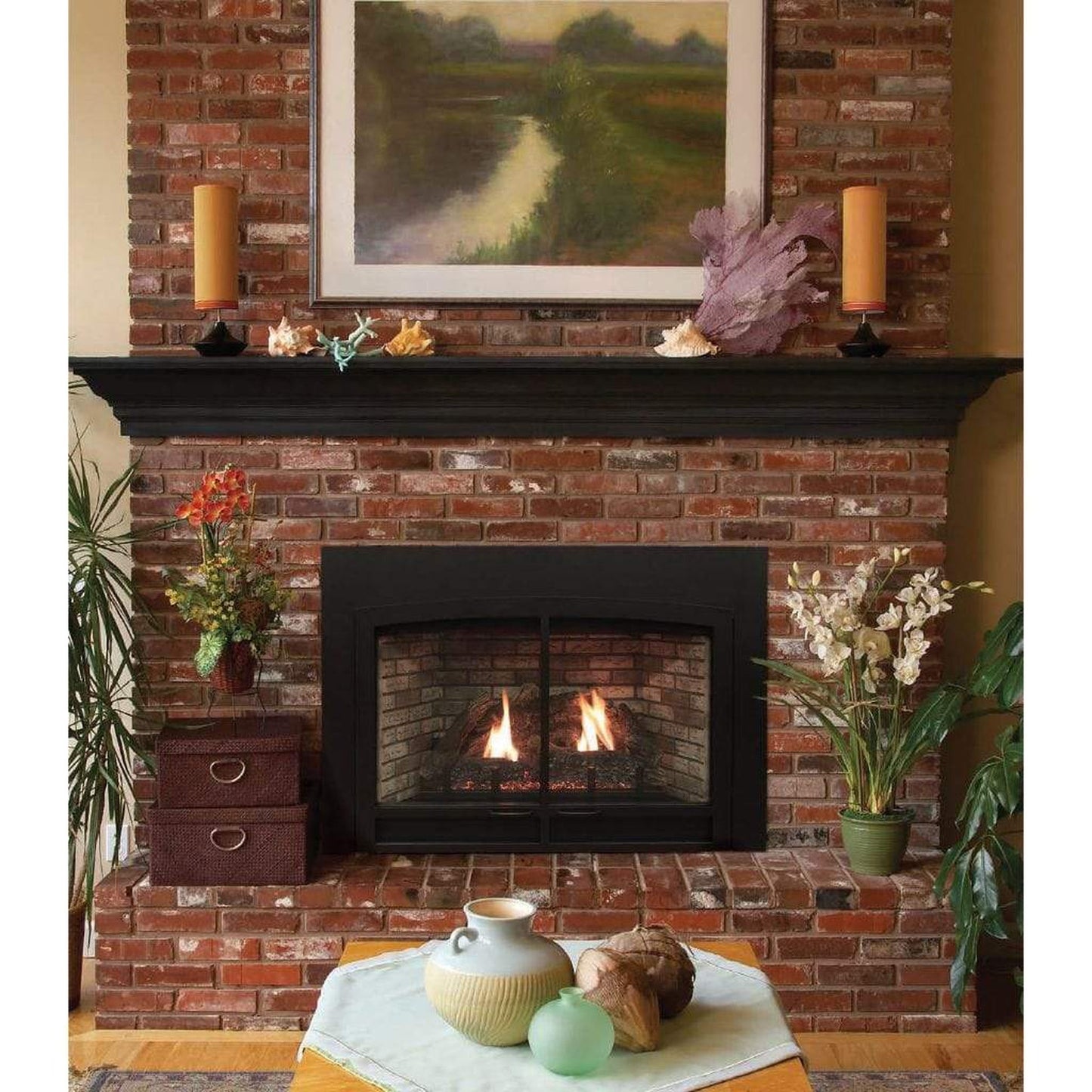 Empire Innsbrook 34" Large Direct Vent Clean Face Intermittent Pilot Control, Propane Gas Traditional Fireplace Insert