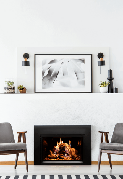 Empire Rainier 34" Intermittent Pilot Control With On/Off Switch, Natural Gas Direct Vent Fireplace Insert