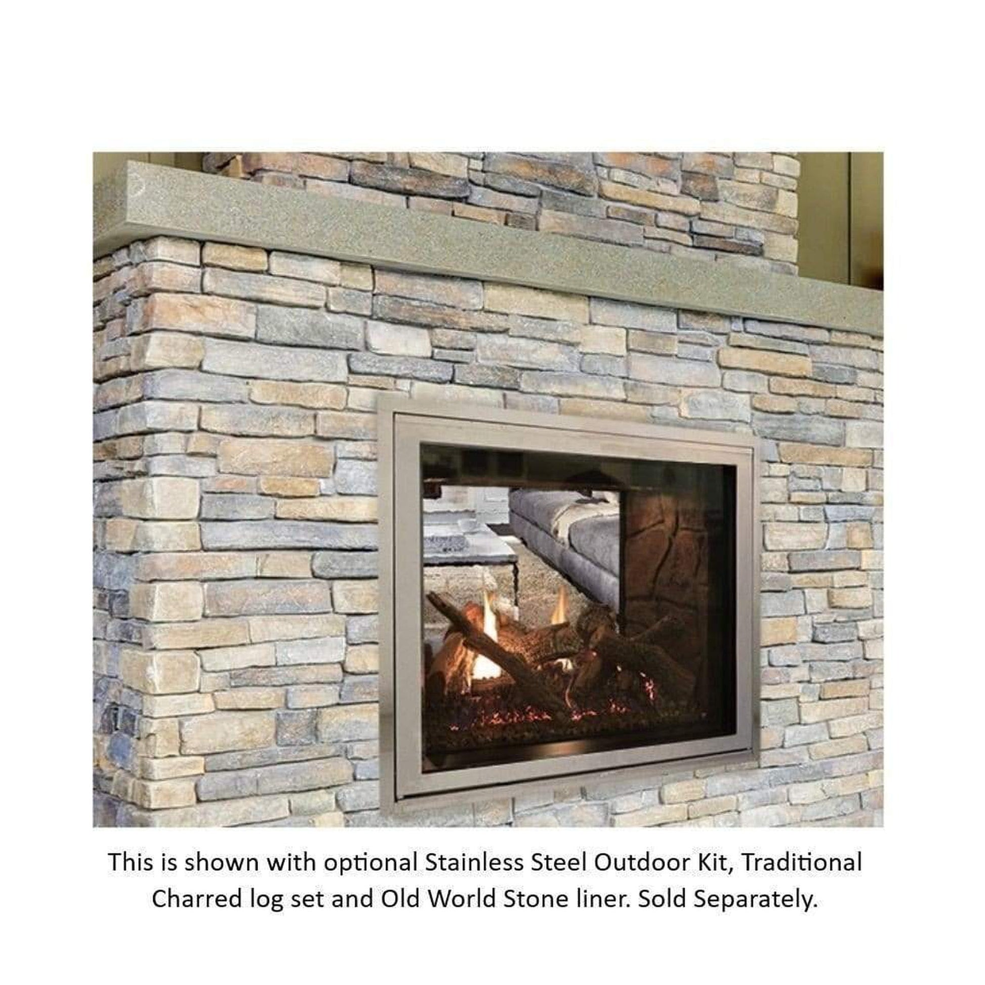 Empire Rushmore 40" TruFlame Clean Face, Propane Gas Direct Vent See-Through Fireplace