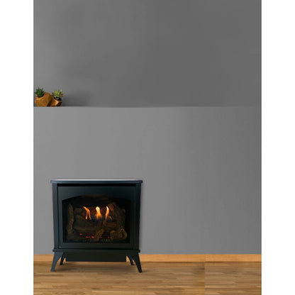 Empire Spirit 22" Intermittent Pilot Control With On/Off Switch, Propane Gas Vent Free Small Steel Stove