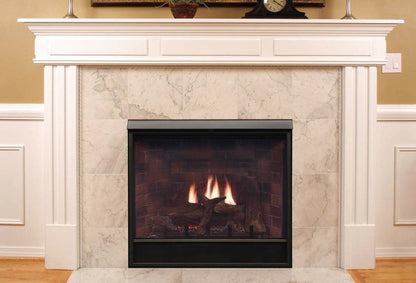 Empire Tahoe Clean Face 42" Intermittent Pilot Control With On/Off Switch and Blower, Natural Gas Direct Vent Deluxe Fireplace