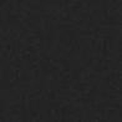 Majestic 2-Piece Black Firescreen Fronts for Marquis II See-Through 42" Gas Fireplace