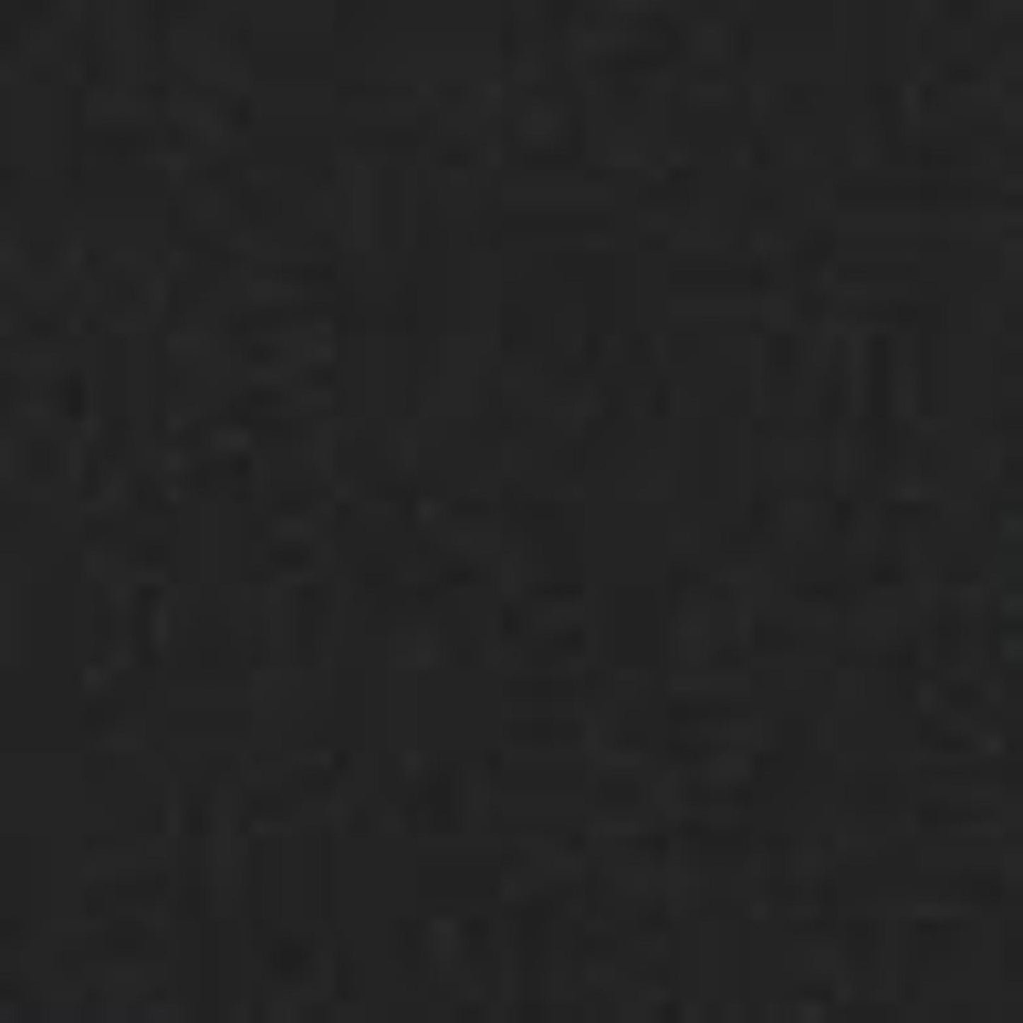 Majestic 2-Piece Black Firescreen Fronts for Marquis II See-Through 42" Gas Fireplace