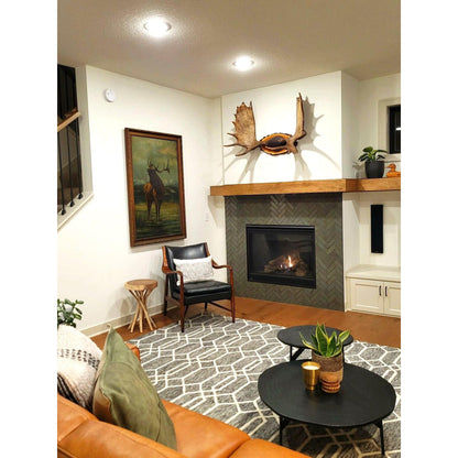 Majestic Mercury 32" Traditional Direct Vent Natural Gas Fireplace With Intellifire Ignition System