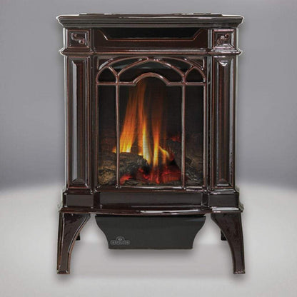 Napoleon 19" Arlington Direct Vent Cast Iron Gas Stove