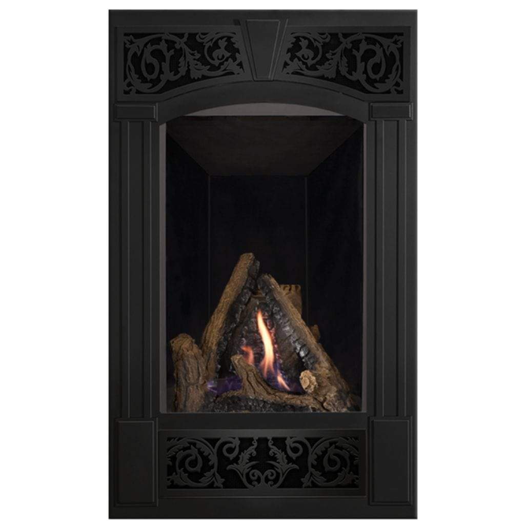 Napoleon 22" Vittoria Direct Vent Gas Fireplace