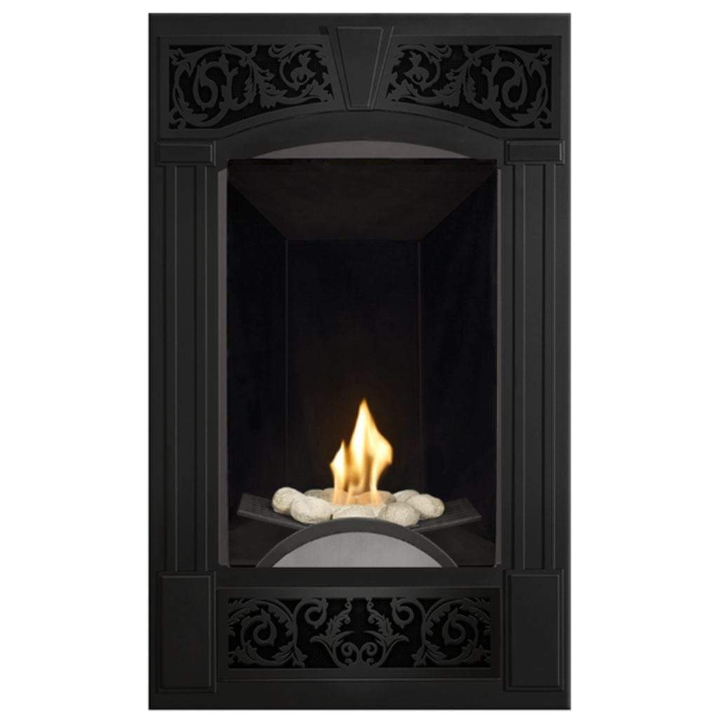 Napoleon 22" Vittoria Direct Vent Gas Fireplace