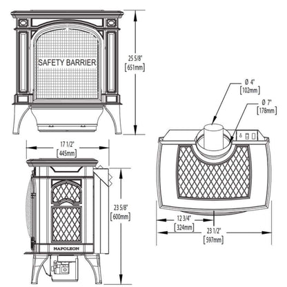 Napoleon 24" Bayfield Direct Vent Cast Iron Gas Stove