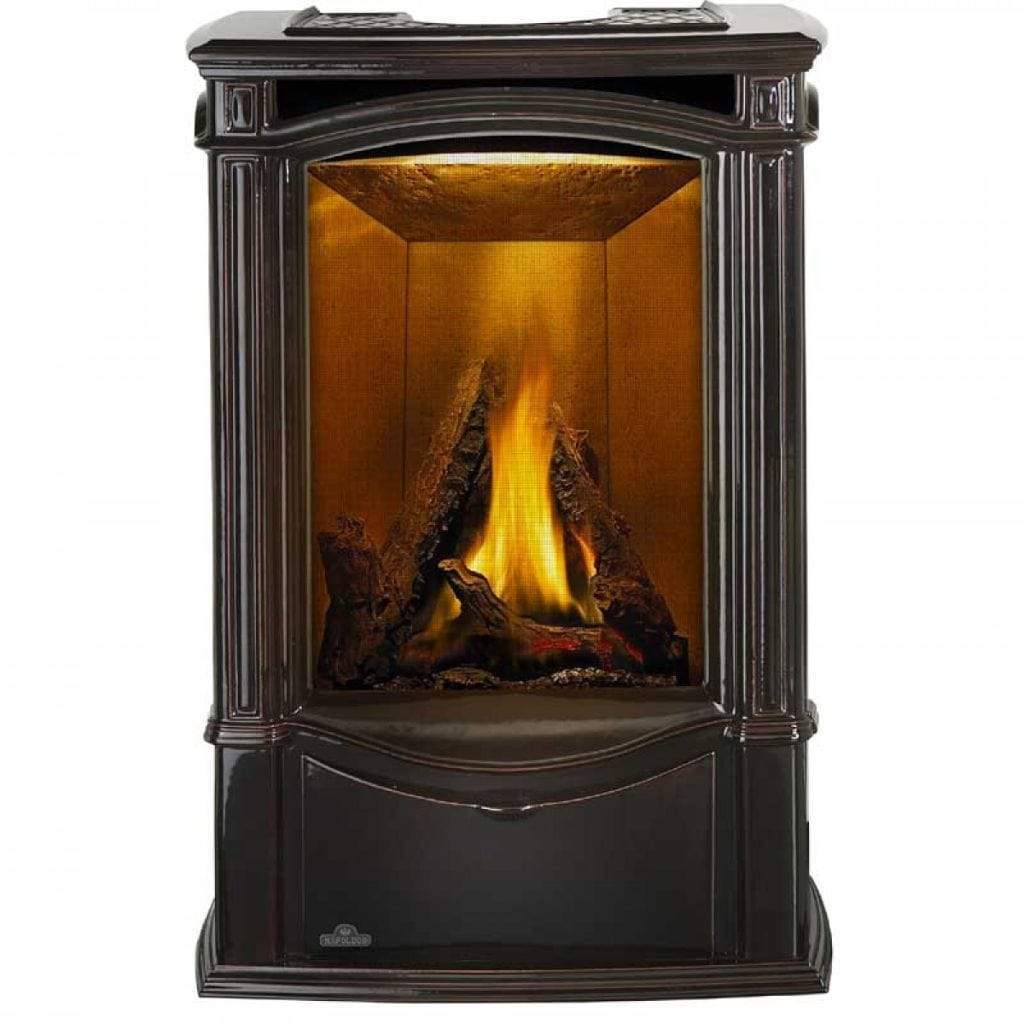 Napoleon 24" Castlemore Direct Vent Cast Iron Gas Stove