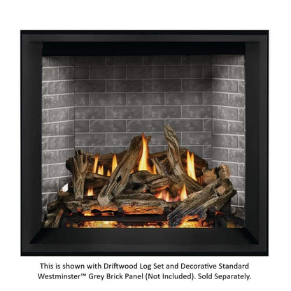 Napoleon 39" Elevation X 36 Direct Vent Gas Fireplace