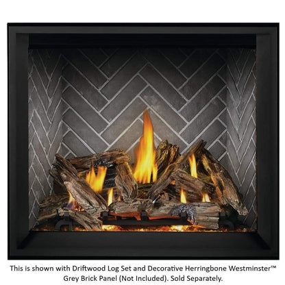 Napoleon 45" Elevation X 42 Direct Vent Gas Fireplace