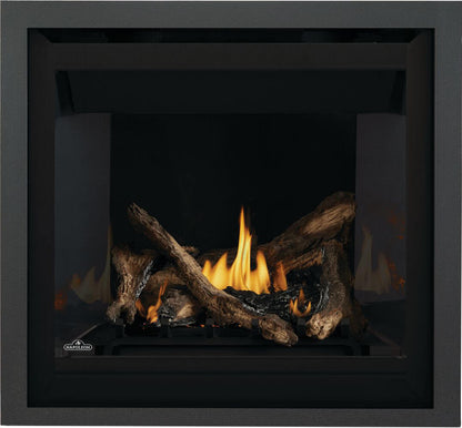 Napoleon Altitude 36" Electronic Ignition, Propane Gas Direct Vent Fireplace