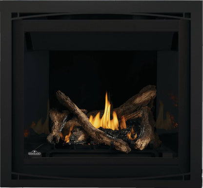 Napoleon Altitude 36" Electronic Ignition, Propane Gas Direct Vent Fireplace
