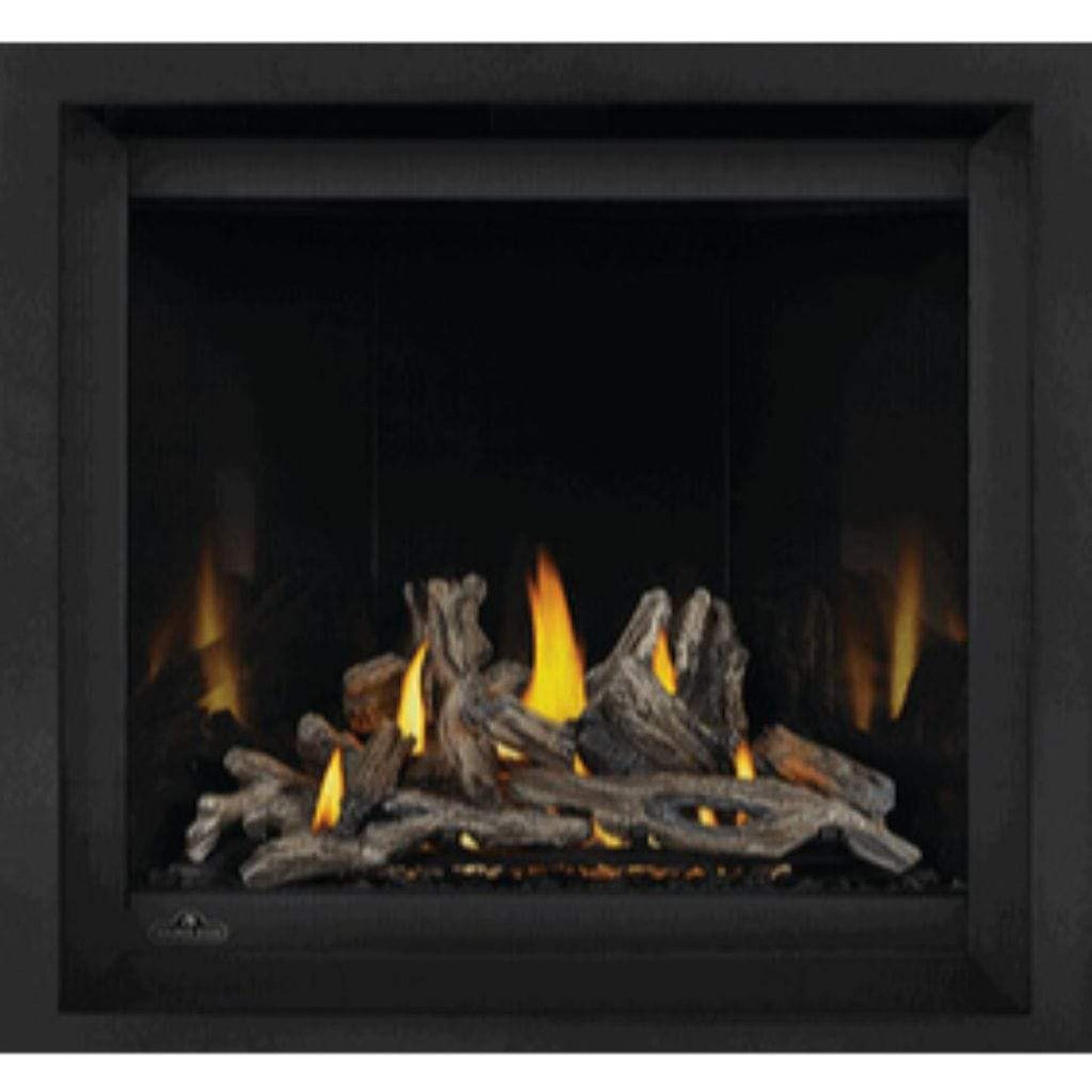 Napoleon Altitude™ X 36" Direct Vent Gas Fireplace