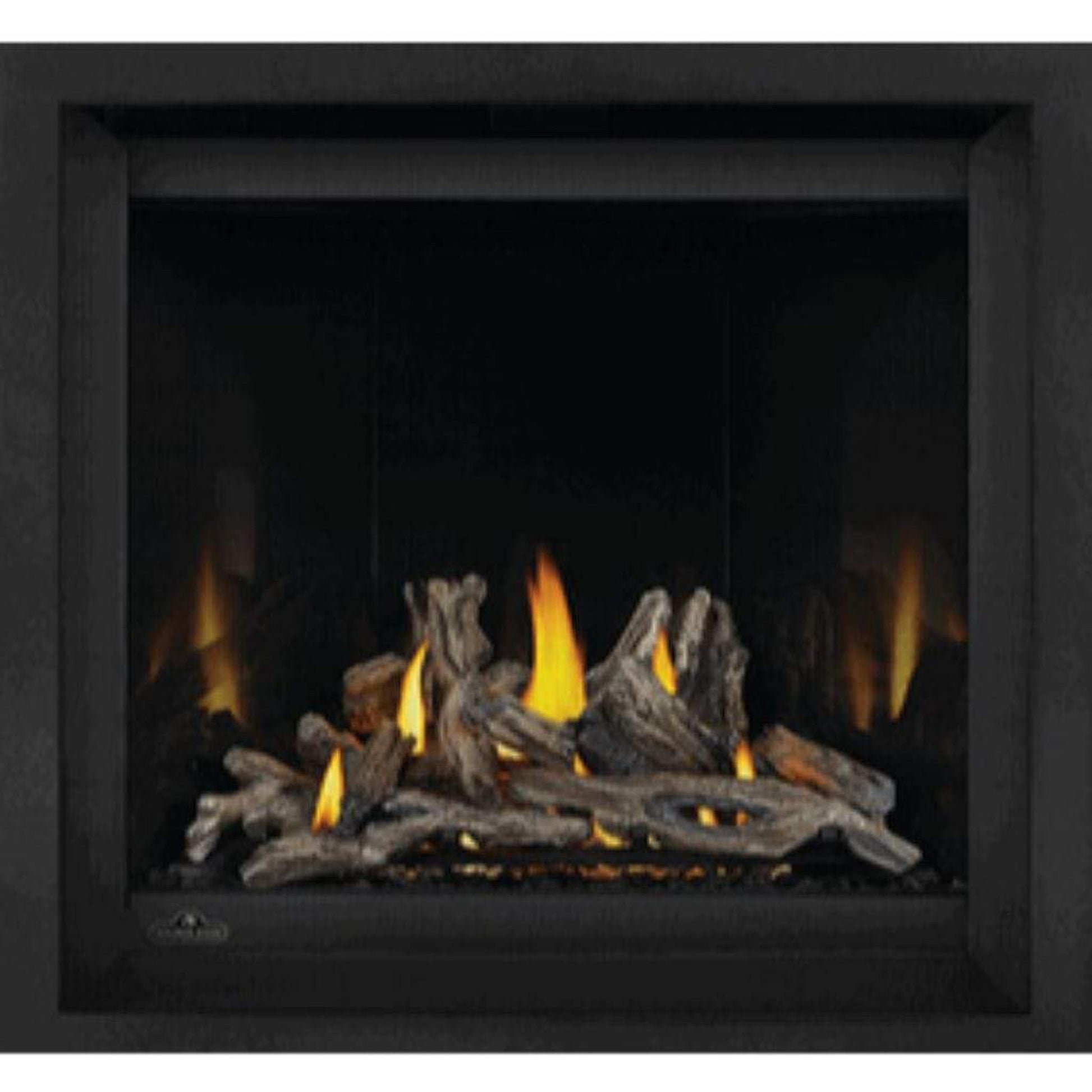 Napoleon Altitude™ X 36" Direct Vent Gas Fireplace