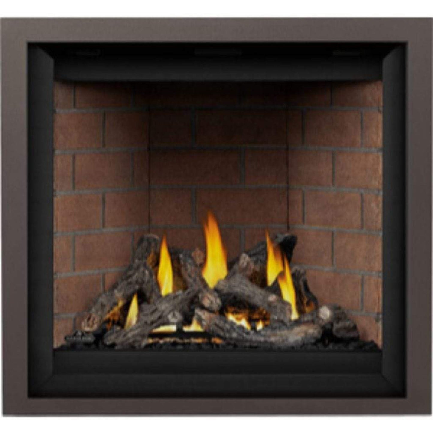 Napoleon Altitude™ X 36" Direct Vent Gas Fireplace