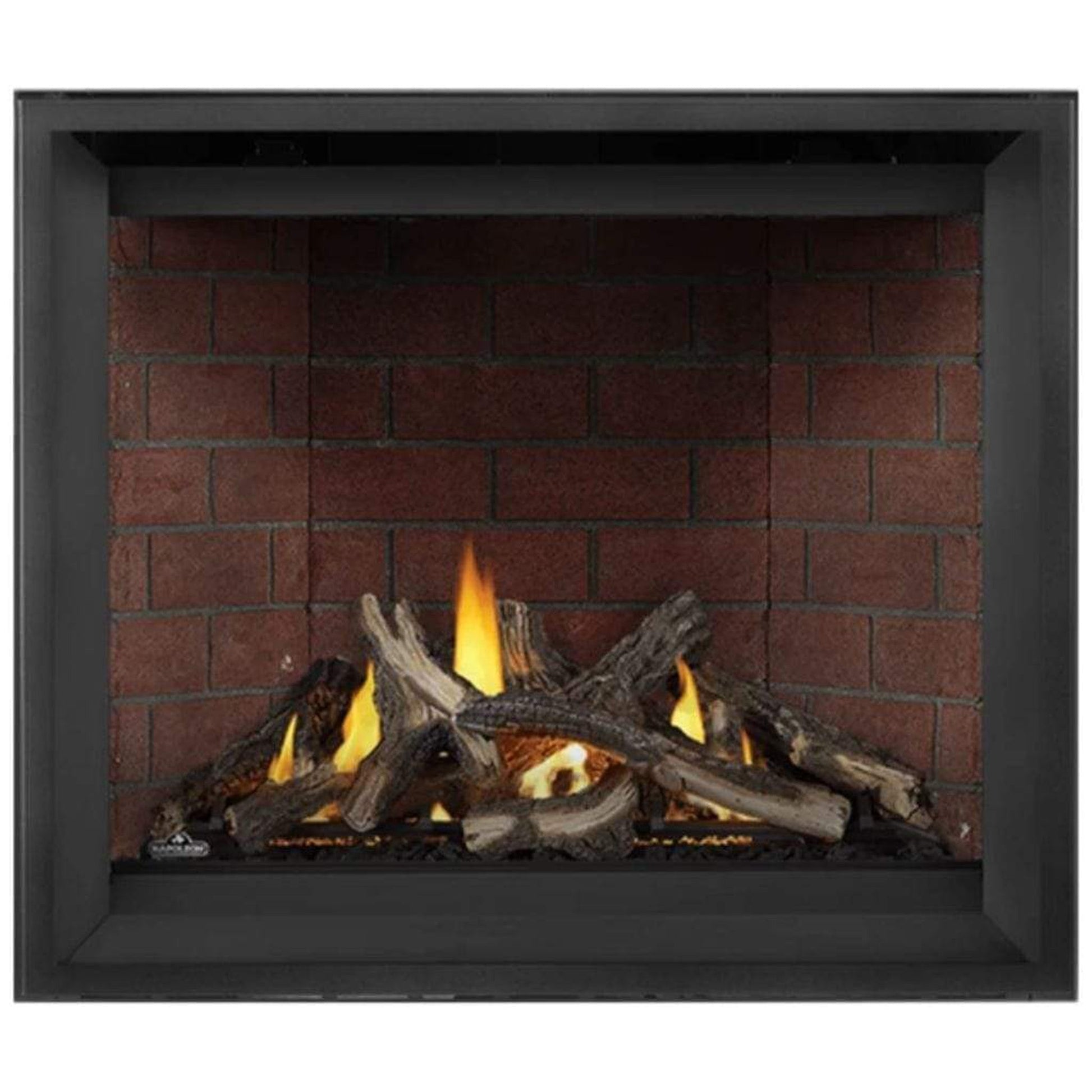 Napoleon Altitude™ X 42" Direct Vent Gas Fireplace