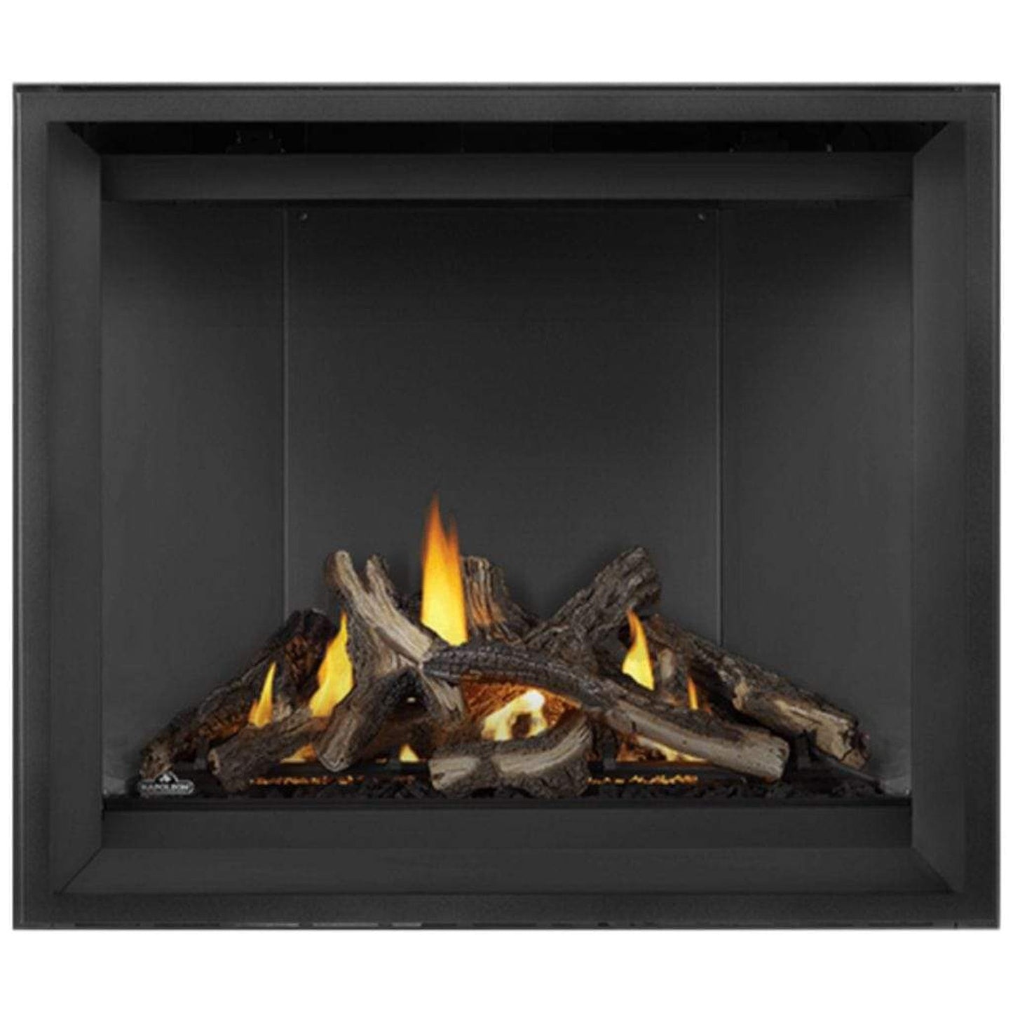 Napoleon Altitude™ X 42" Direct Vent Gas Fireplace