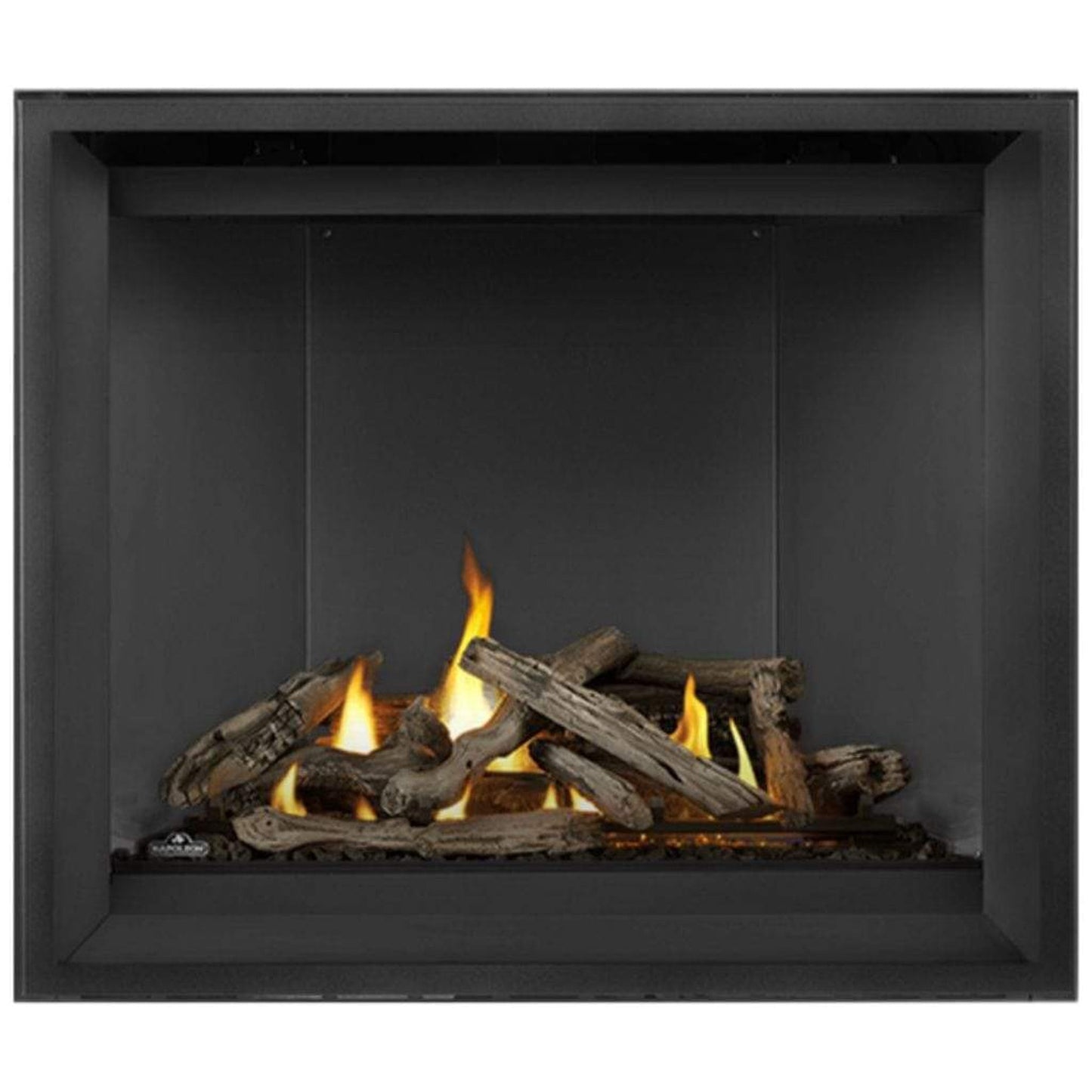 Napoleon Altitude™ X 42" Direct Vent Gas Fireplace