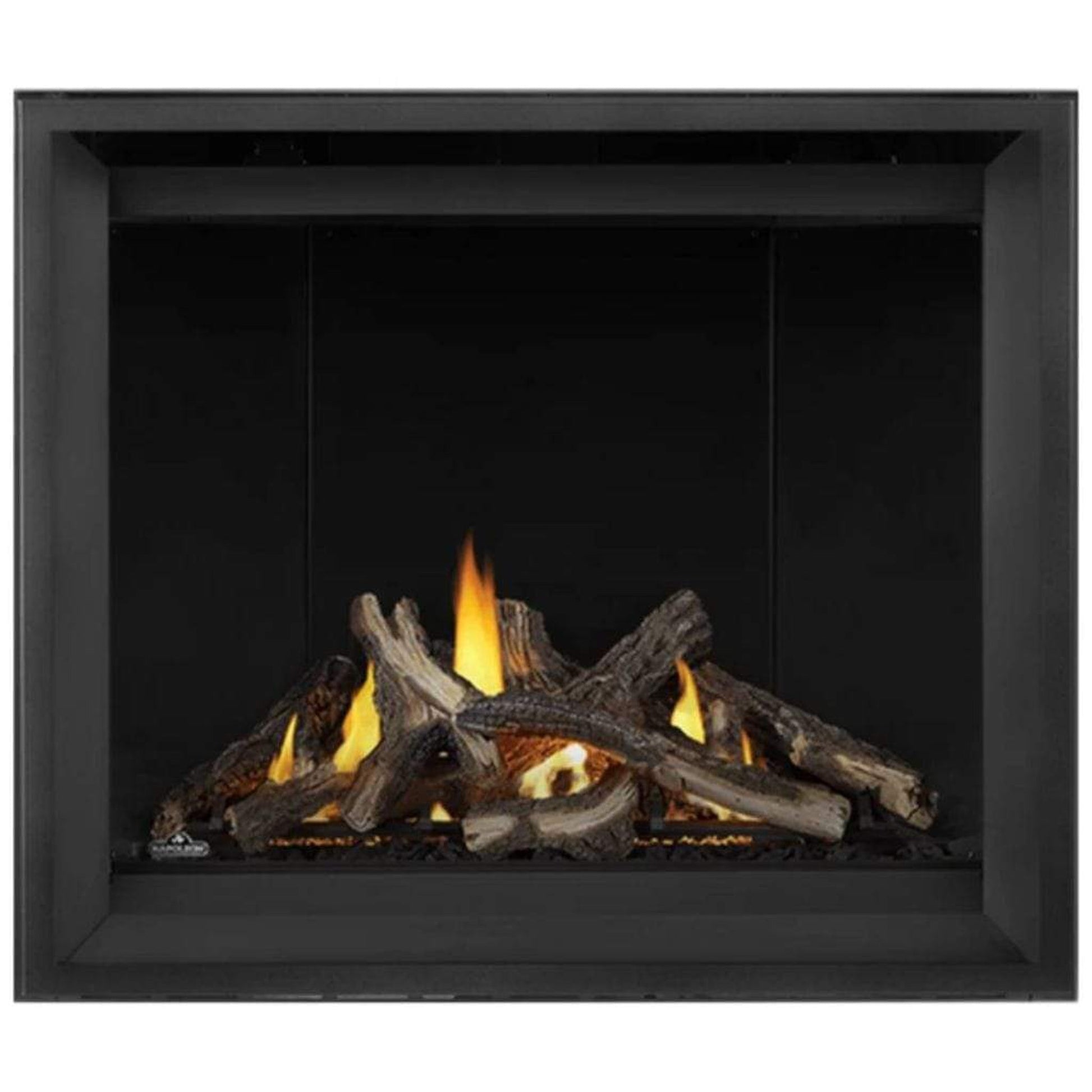 Napoleon Altitude™ X 42" Direct Vent Gas Fireplace