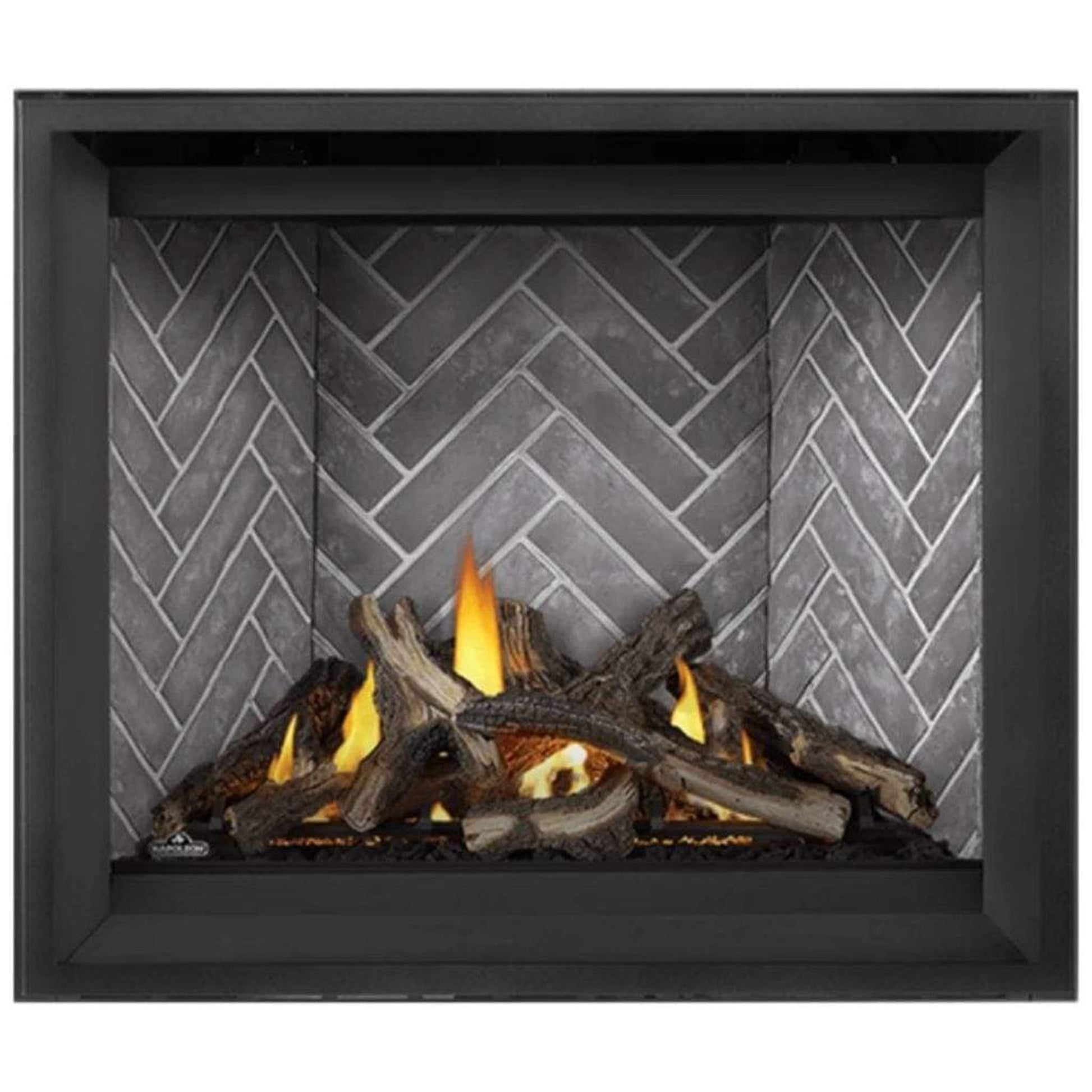 Napoleon Altitude™ X 42" Direct Vent Gas Fireplace