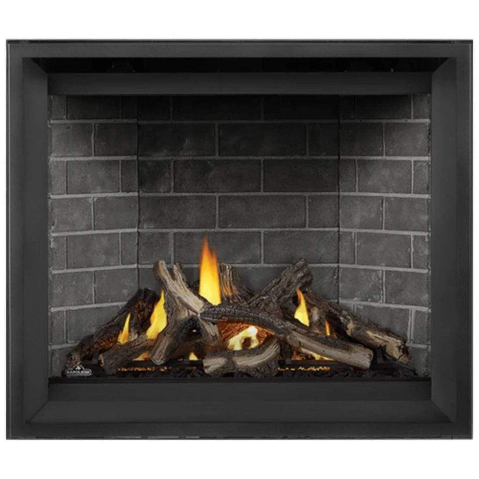 Napoleon Altitude™ X 42" Direct Vent Gas Fireplace