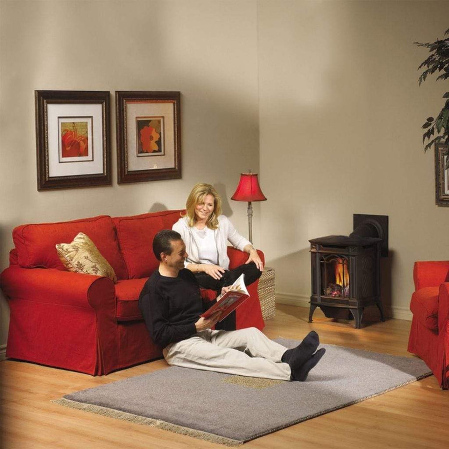 Napoleon Arlington 19" Metallic Black Direct Vent Cast Iron Gas Stove With Electronic Ignition