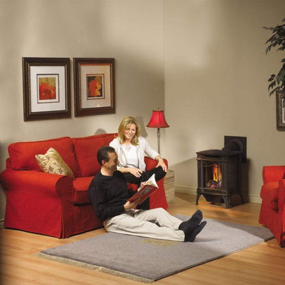 Napoleon Arlington 19" Metallic Black Direct Vent Cast Iron Gas Stove With Electronic Ignition