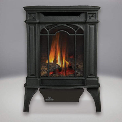 Napoleon Arlington 19" Metallic Black Direct Vent Cast Iron Gas Stove With Electronic Ignition